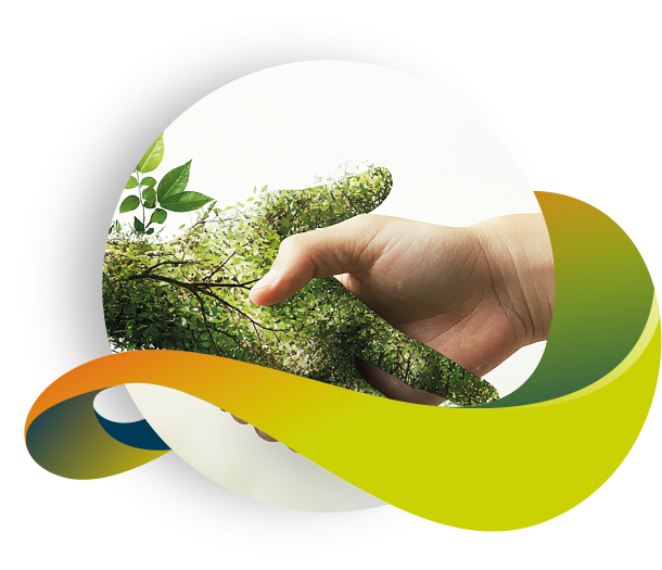 Scopri le soluzioni energetiche Enfinity