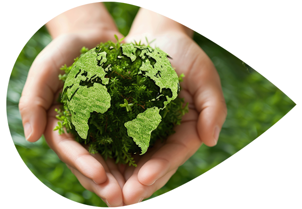 La Mission di Enfinity