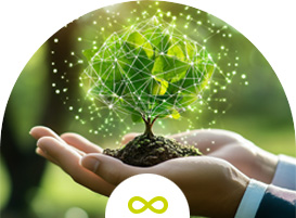 Enfinity vuol dire sostenibilità ambientale